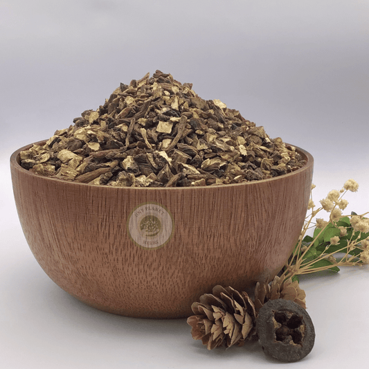 Dandelion Root