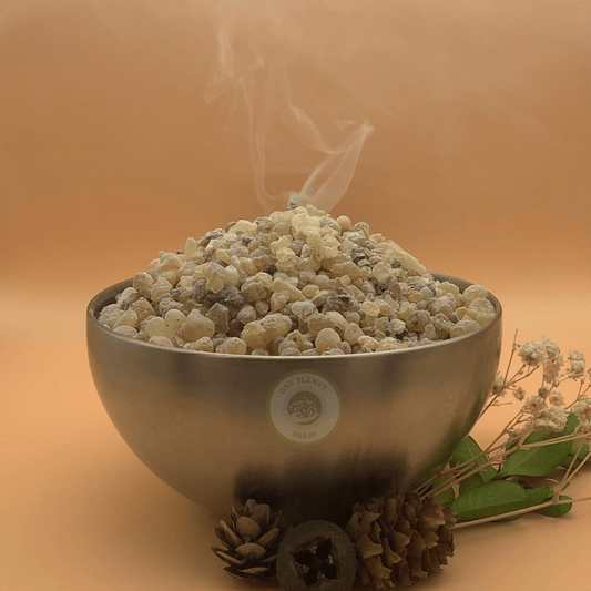 Frankincense (Indian)