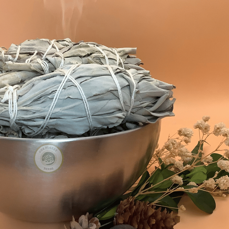 White Sage Smudge Sticks