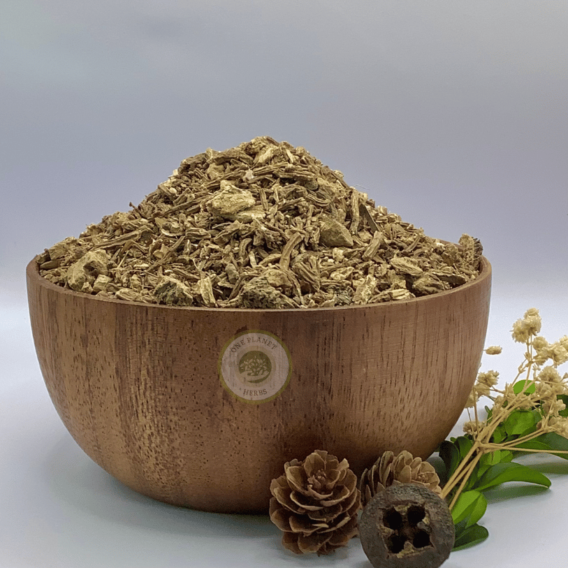 Angelica Root