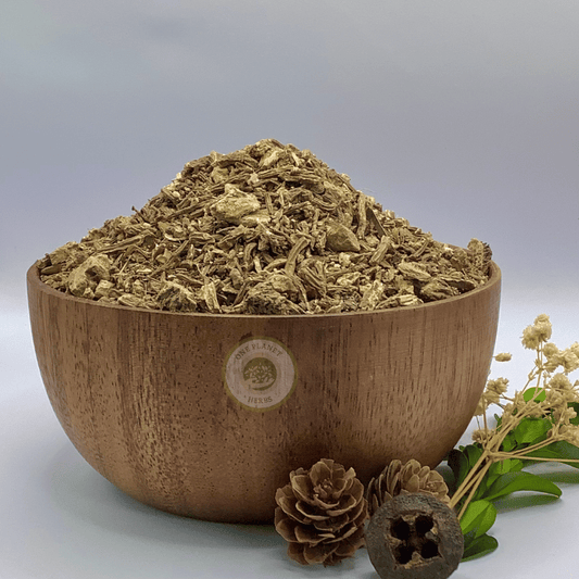 Angelica Root
