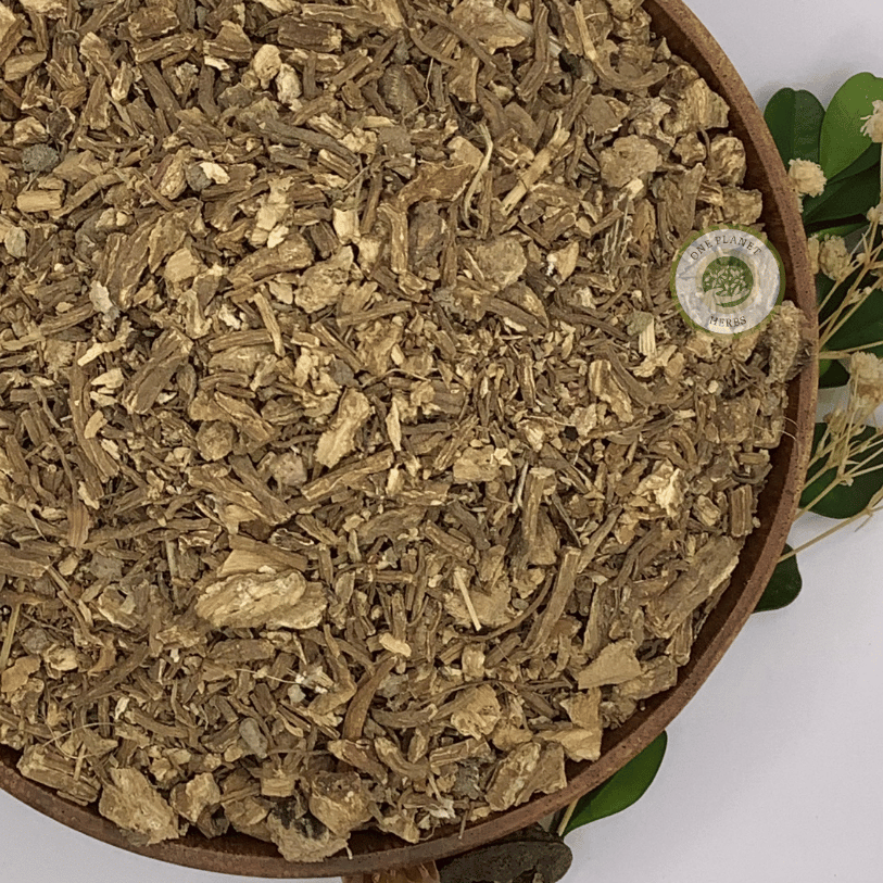Angelica Root