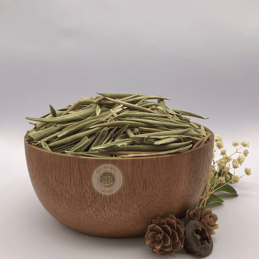 Olive Leaves
