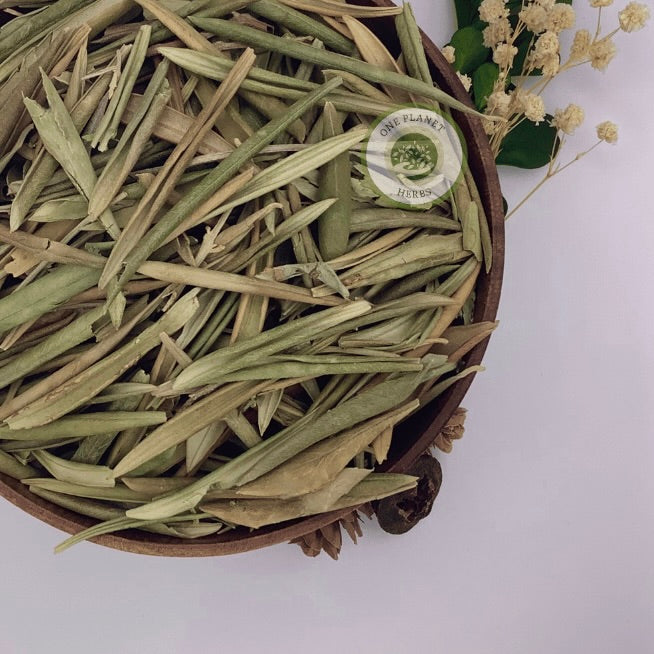 Olive Leaves