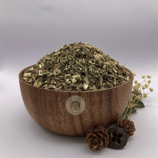 Boneset